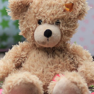 Rechtsanwältin Ilka Krebs