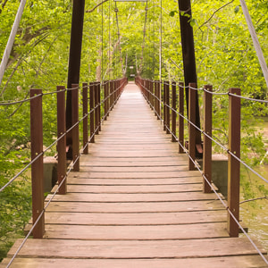 Rechtsanwältin Ilka Krebs
